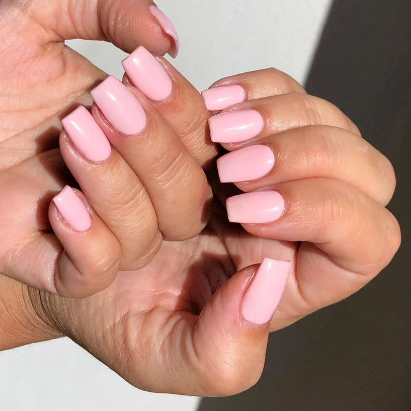 ROSE - COLOUR GEL
