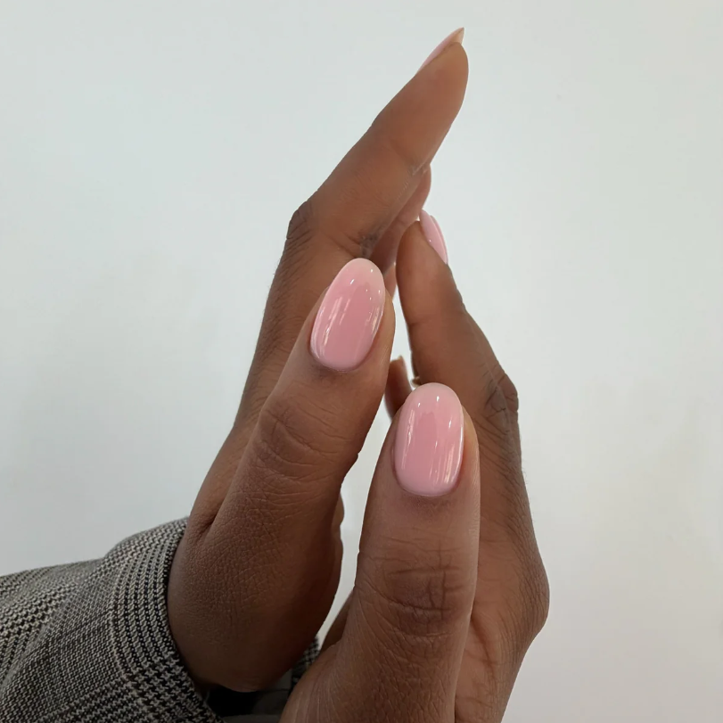 COLOUR BUILDER GEL - POISE: 4 COLOURS