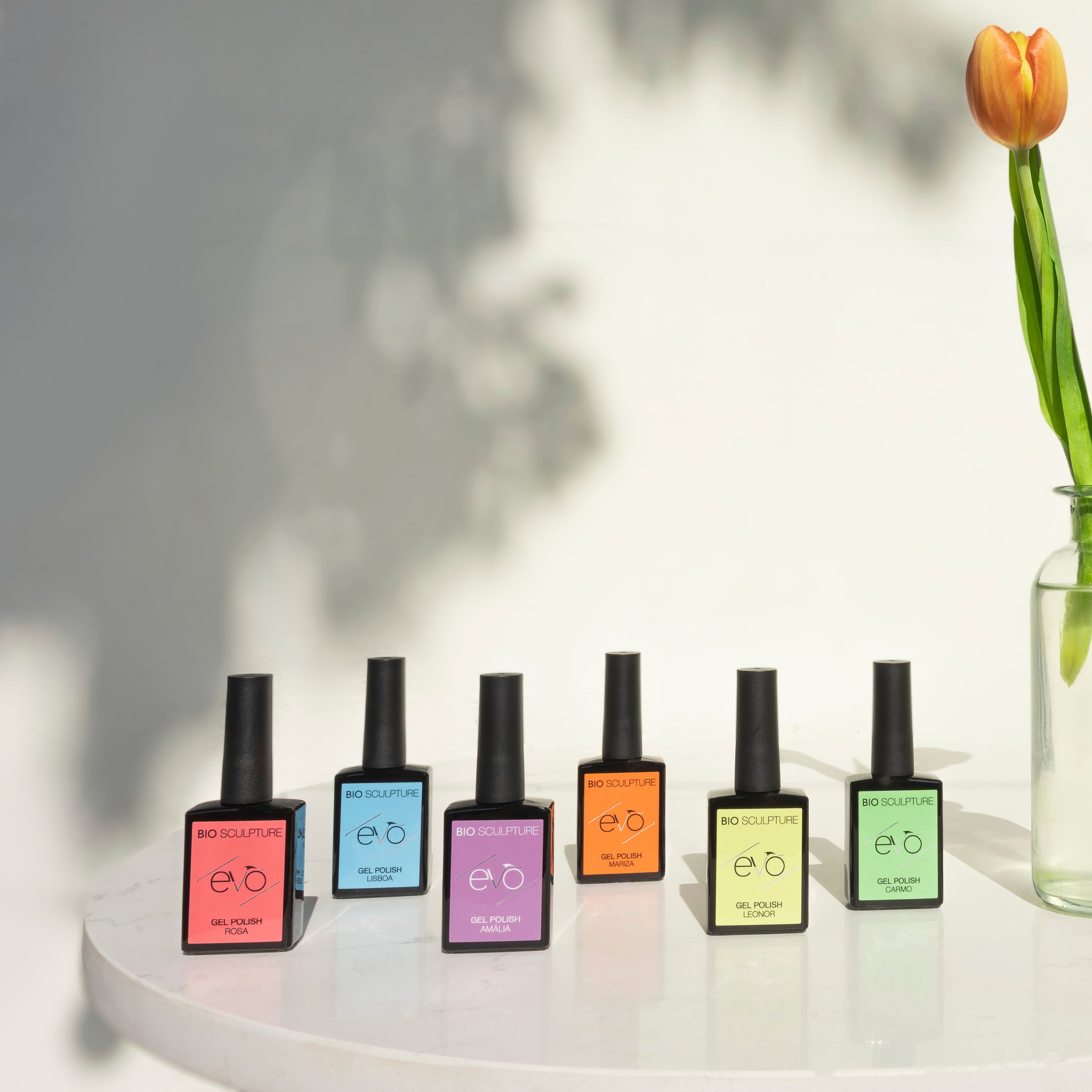 SUN-KISSED SUMMER COLLECTION - EVO