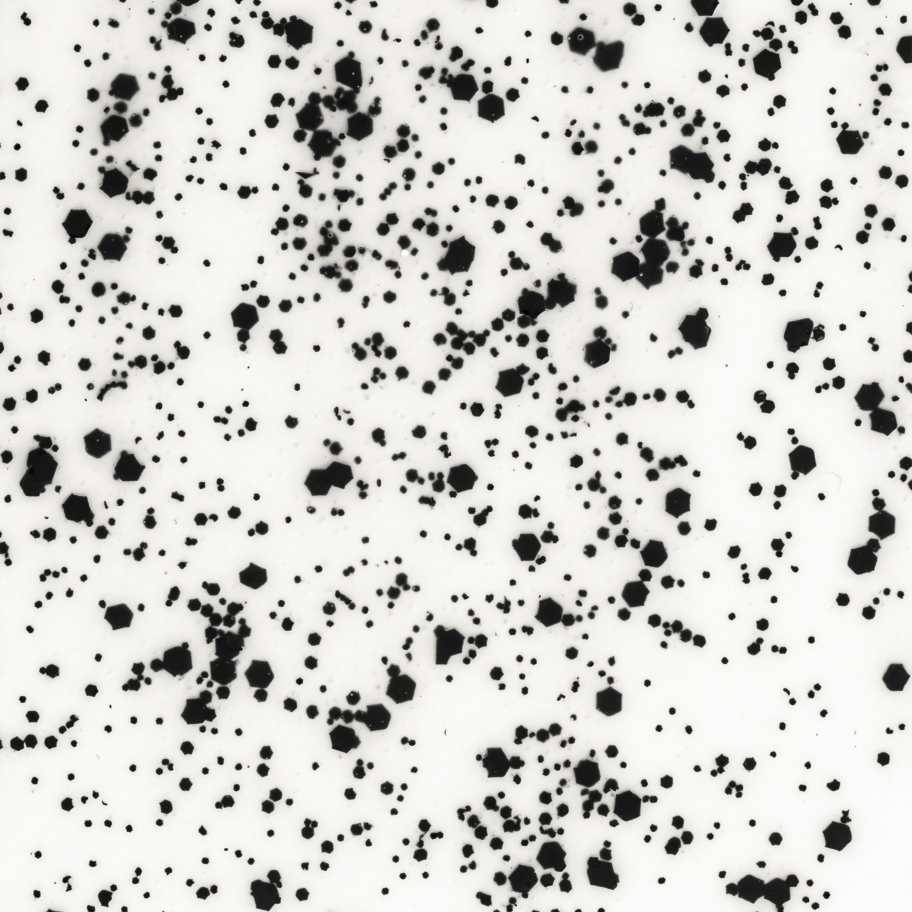 TOP COAT SPECIAL EFFECT PACK ( NON-WIPE ) - GET A FREE 80BASE OFFER