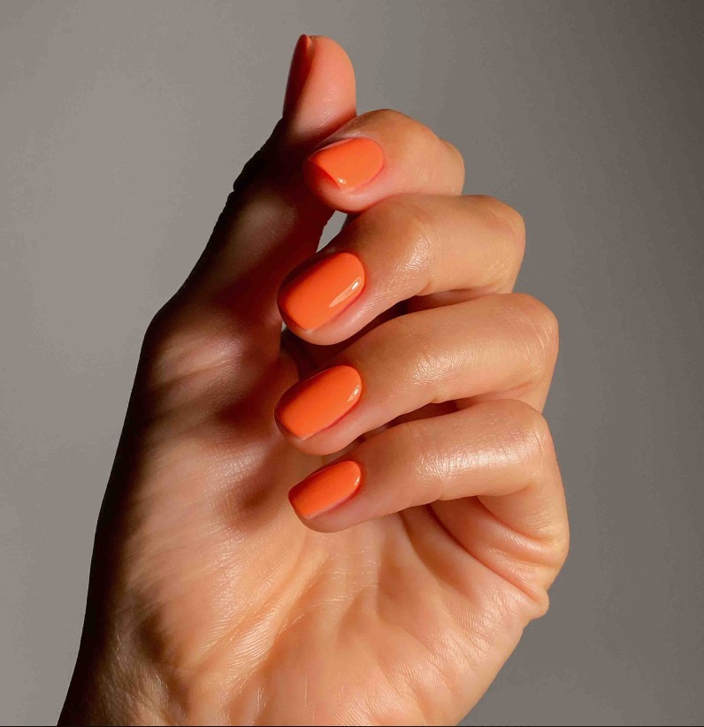 SUN-KISSED SUMMER COLLECTION - EVO