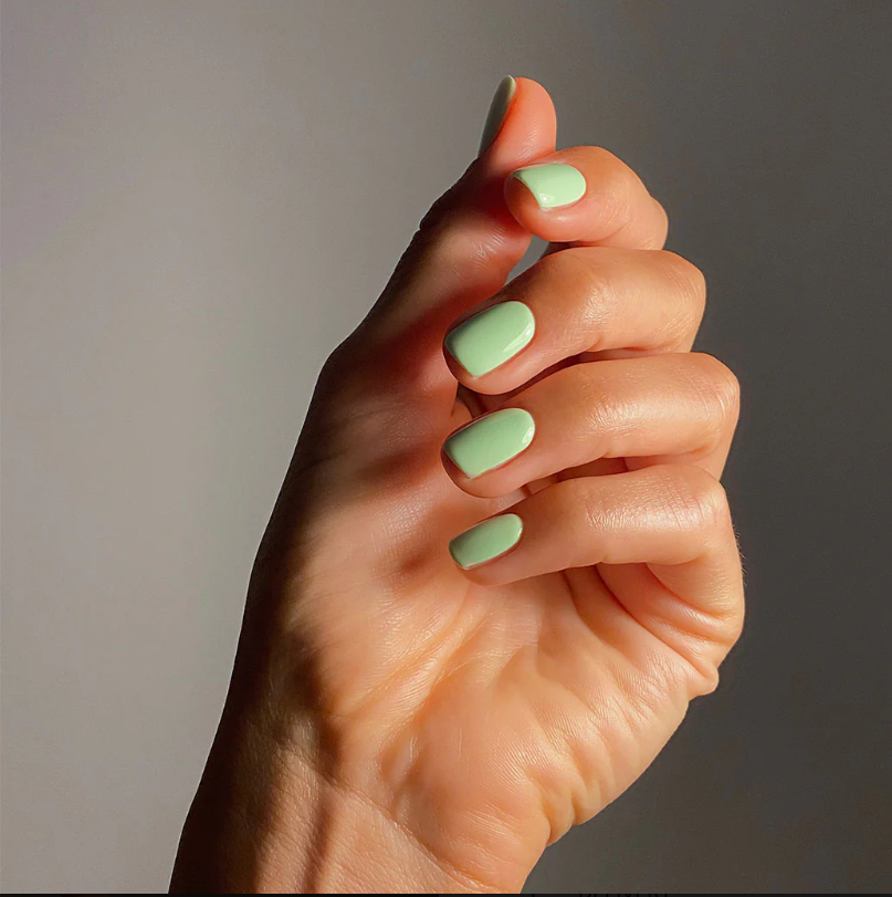 SUN-KISSED SUMMER COLLECTION - EVO