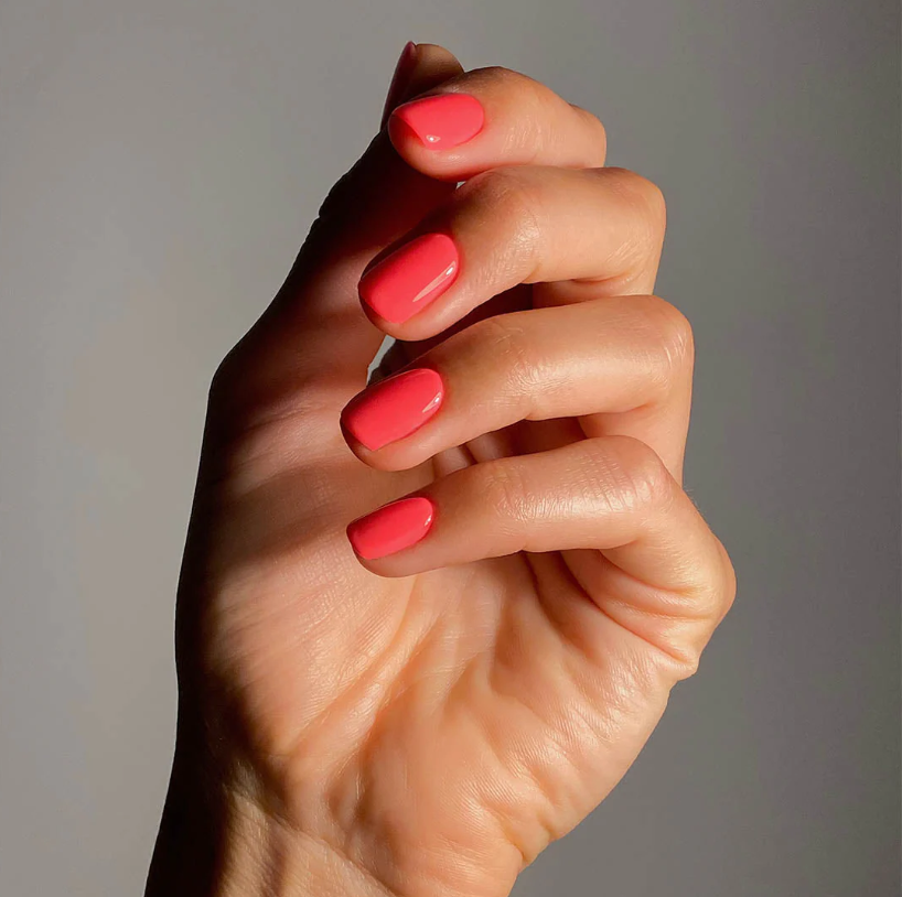 ROSA - COLOUR GEL