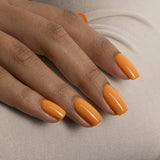 DEEP EDIT - COLOUR GEL COLLECTION