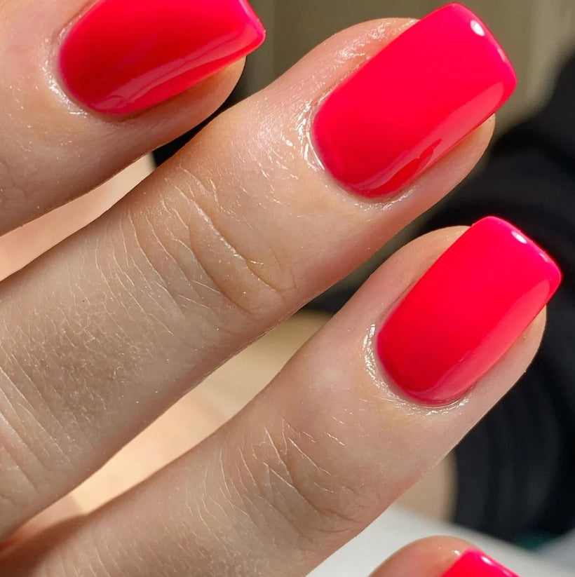 LINN - COLOUR GEL